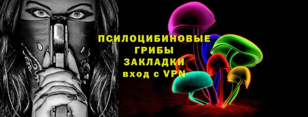 стаф Алексин
