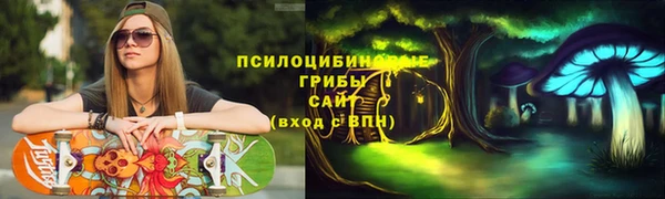 стаф Алексин