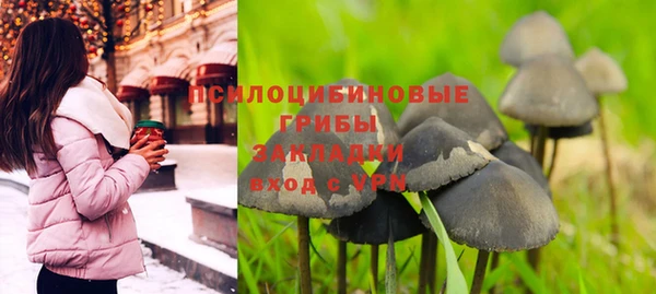 стаф Алексин