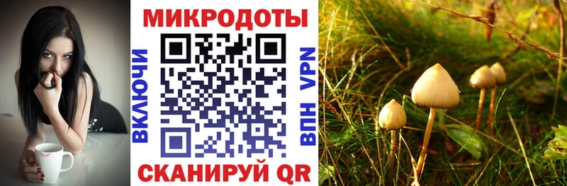 Галлюциногенные грибы Psilocybe  ОМГ ОМГ   Островной  продажа наркотиков 